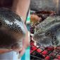 Du khách Hà Nội tố bị ‘chặt chém’ con cá gần 3 triệu đồng/kg, các chủ nhà hàng ở Nha Trang lên tiếng