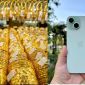 Giá vàng hôm nay chiều 26/6: Bất ngờ đảo chiều tăng mạnh cả triệu đồng, iPhone 15 giá bao nhiêu?