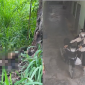 Danh tính bộ xương khô trong bãi cỏ ở Đại học Quốc gia TP.HCM, camera ghi lại hành trình cuối của nạn nhân