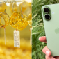 Giá vàng hôm nay trưa 28/6: Trong nước đắt hơn thế giới gần 19 triệu đồng, bảng giá iPhone 17 ra sao?