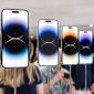 Bảng giá iPhone cũ tháng 7: Giảm thủng đáy, iPhone 14 chỉ từ 10 triệu đồng, iPhone 13 cũ rẻ như cho