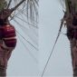 Lý do hai mẹ con treo lơ lửng, bám trên cây dừa ở Hạ Long chờ lực lượng cứu hộ giải cứu
