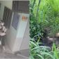 Nguyên điều tra viên hình sự cao cấp: Vụ phát hiện bộ xương nam MC ở TP HCM là một vụ ‘án mờ’