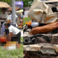 Camera ghi lại giây phút bé trai 11 tuổi lái xe bán tải lao vào đoàn hành hương ở Thái, 26 nhà sư thương vong