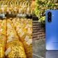 Giá vàng hôm nay 4/7: Vàng miếng và vàng nhẫn neo cao, riêng một cửa hàng giảm giá, Samsung A17 chỉ từ 4 triệu đồng