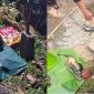 Vụ phát hiện hộp sọ khi dọn cỏ vườn: Đã xác định được danh tính, nạn nhân mất tích gần 1 năm
