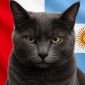 Dự đoán kết quả Anh vs Argentina - World Cup 2026: Mèo tiên tri báo tin vui cho Lionel Messi
