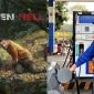 Giá xăng dầu sáng 20/7: Có tăng nhưng vẫn rẻ, trải nghiệm game sinh tồn Green Hell cực hot giá chỉ hơn 20.000 đồng