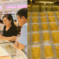 Cập nhật giá vàng hôm nay 27/7 (trưa 27/7): SJC và vàng nhẫn tăng mạnh mốc ấn tượng, dự báo giá vàng