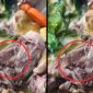 Vụ cỗ tân gia nghi có dòi trong món gà ở Đắk Lắk: Chủ cơ sở nấu tiệc lên tiếng 