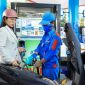 Giá xăng dầu hôm nay 30/7: Xăng E10 RON95 'sáng cửa' về 17.000 đồng, E5 RON92 giảm 9.000 đồng, giá đầy bình xe máy Honda