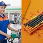 Giá xăng dầu ngày 1/8: Xăng E5, E10 cán mốc 22.000 đồng, bàn phím gaming AKKO giá rẻ như cho