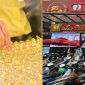 Cập nhật giá vàng hôm nay 23/8: Vàng SJC vàng nhẫn 9999 tăng cao kỷ lục, dự báo giá cả sắp vùng nổ