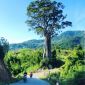 Đặc điểm nhận dạng đối tượng sát hại em trai giữa đêm rồi bỏ trốn cùng hung khí ở Nghệ An