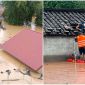 Nhiều hộ dân Lạng Sơn chật vật, chờ ứng cứu khi nước lũ lên cuồn cuộn