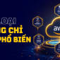Các loại chứng chỉ AWS phổ biến nhất giúp tăng thêm thu nhập và cơ hội