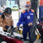 Giá xăng dầu hôm nay 1/9: E10 RON95 'sáng cửa' về 17.000 đồng/lít, E5 RON92 sẽ giảm cực sâu? Giá đầy bình xe máy Piaggio