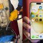 Giá xăng hôm nay 31/8: Xăng E10 giảm gần 9.000 đồng từ đỉnh, xăng E5 vẫn rẻ, iPhone 15 Plus hạ sâu