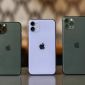 Bảng giá iPhone 11 tháng 9/2026: iPhone 11 Pro Max rẻ như máy cỏ, iPhone 11 vẫn cực ngon bổ rẻ