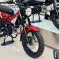 Bảng giá xe Yamaha PG-1 tháng 9/2026: Rẻ khó tin, hút khách hơn Honda Wave Alpha và Future vì có ABS