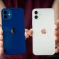 Bảng giá iPhone 12 giữa tháng 9/2026: Toàn dòng giảm sâu iPhone 12, iPhone 12 Pro Max 99% rẻ như cỏ