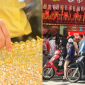 Bảng giá vàng hôm nay 15/9: Vàng SJC vàng 9999 'đi lùi' nhanh hiếm thấy, chuẩn bị rung lắc mạnh?