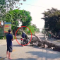 Thông tin mới vụ cưa cây đổ khiến người đi đường tử vong: Gia đình nạn nhân nói điều bất ngờ