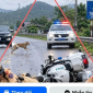 Sự thật hình ảnh 2 CSGT gặp tai nạn khi đang làm nhiệm vụ ở Thái Nguyên