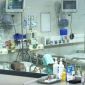 TP.HCM ghi nhận chùm 3 ca não mô cầu ở học sinh: Một em tử vong, 2 trường hợp dương tính