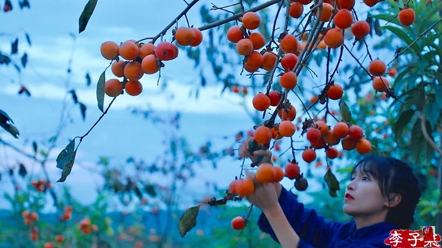 lý tử thất